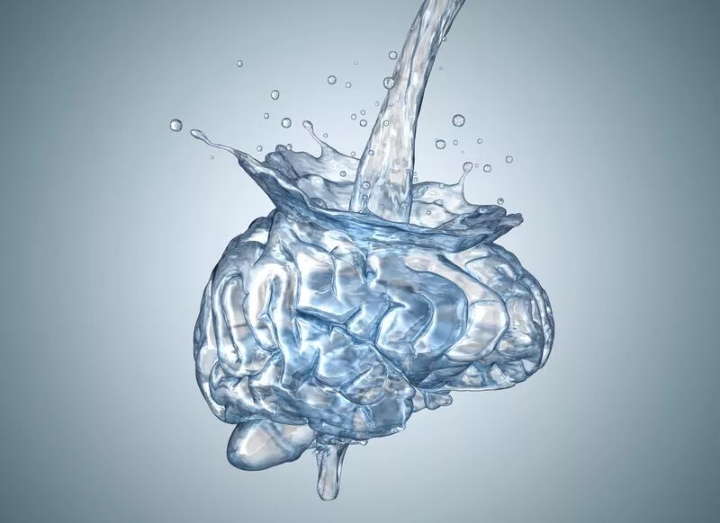 Как вода влияет на умственную активность